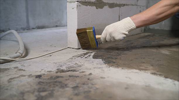 Top rated local Crawl Space Encapsulation specialists in Brokaw, WI